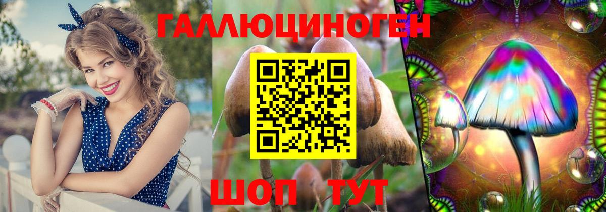 Галлюциногенные грибы Psilocybe Белово